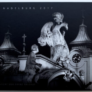 Cover des Buches "Die Nadelburg 2017" mit einer detailreichen Fotografie von Franz Baldauf, die eindrucksvolle Skulpturen und Architektur zeigt.