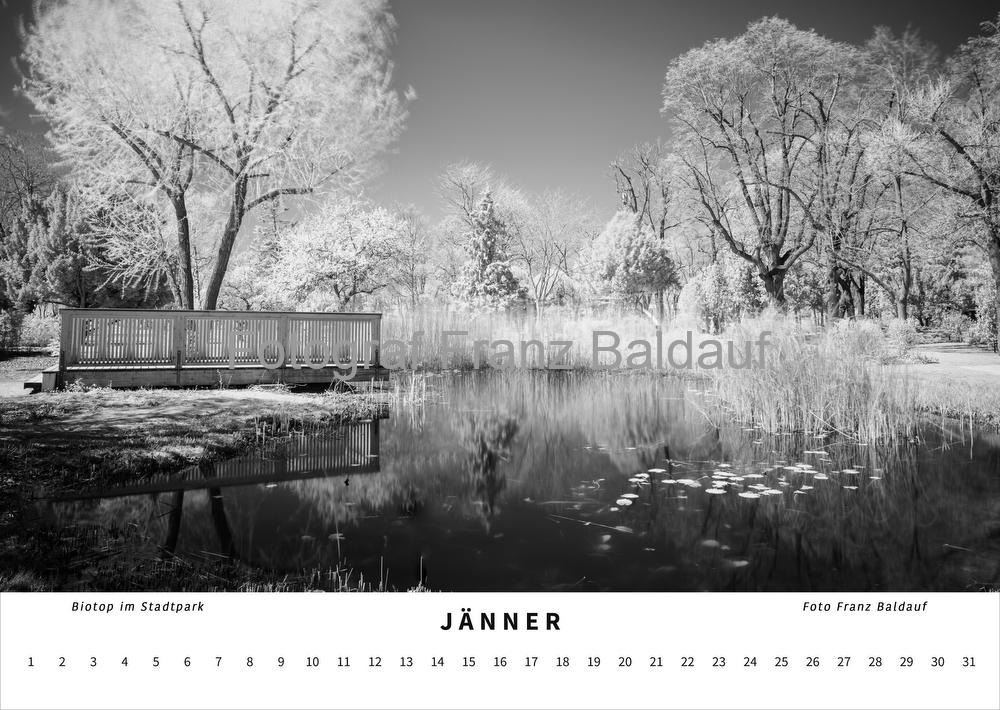 "WIENER NEUSTADT" fotografiert von Franz Baldauf 6 Schwarz-weiß Fotografie eines Biotops im Stadtpark von Wiener Neustadt im Jänner, mit einer Holzbrücke und schneebedeckten Bäumen, die eine ruhige Winterlandschaft darstellt.